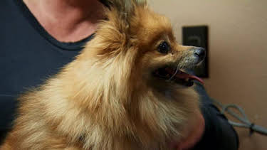 1:00 PM: Dr. Jeff: Rocky Mountain Vet (S1) | Discovery Channel | 3/27 2026