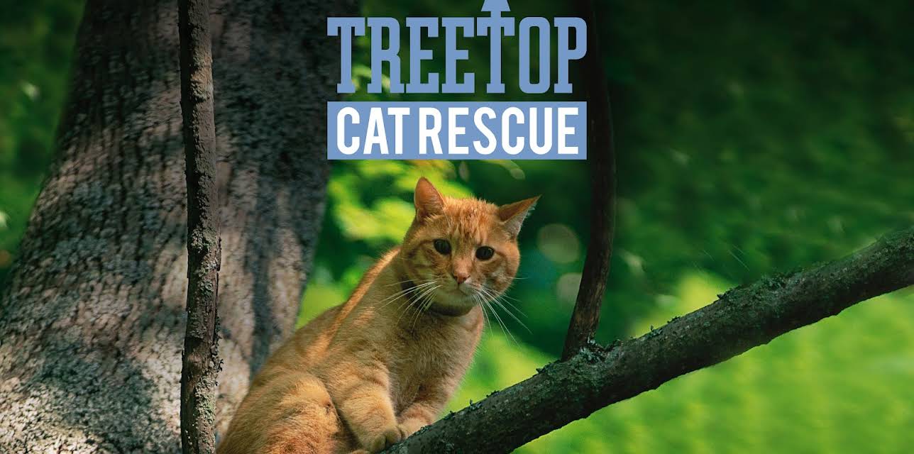 Treetop Cat Rescue, Season 1