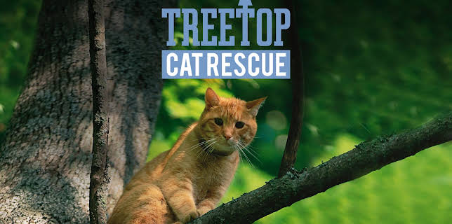 Treetop Cat Rescue, Season 1