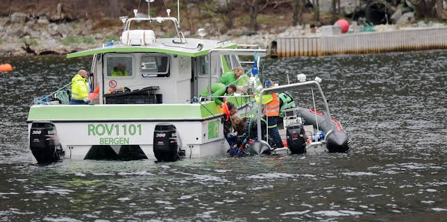 22:20: Mord unter Palmen | Kabel Eins | 1/16 2026