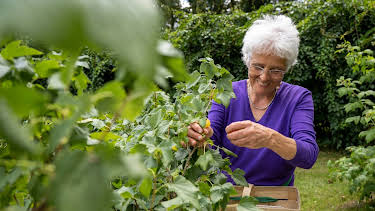 17:00: Land & lecker | WDR Fernsehen | 5/2 2026