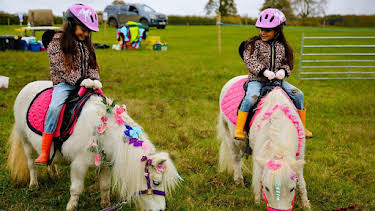 3:15 PM: Our Family | Cbeebies | 11/5 2026