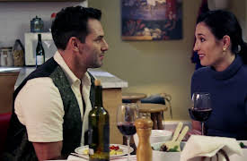 Fall in Love Again Season 1: The Editor and The Doctor