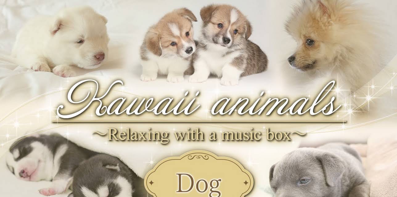 Kawaii animals～Relaxing with a music box～Dog (2025)