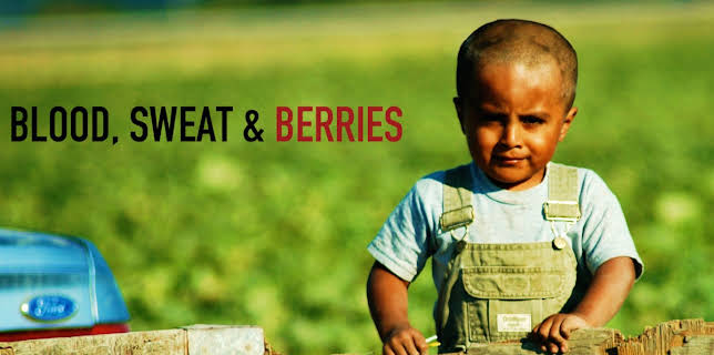 Blood, Sweat and Berries: A Documentary (2025)