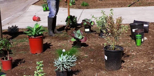 09:25: Die Super-Makler - Top oder Flop? | Sixx | 3/15 2026