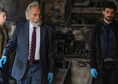 The Turkish Detective