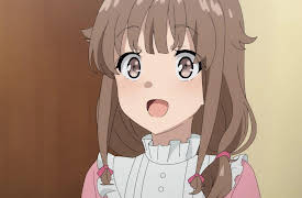 Rascal Does Not Dream of Bunny Girl Senpai: The Dawn After an Endless Night