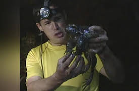 The Jeff Corwin Experience: Season 1: Extreme Encounters