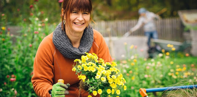 11:45: Querbeet ABC | ARD Alpha | 3/23 2026