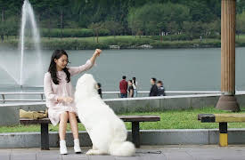 My Girlfriend Is a Gumiho: My Girlfriend Is a Gumiho Episode 15