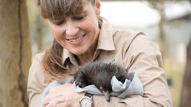 17:00: Crikey! It's the Irwins (S4 E4) (S4) | Animal Planet | 4/3 2026