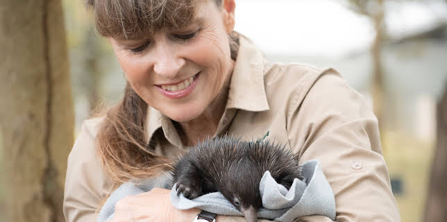 12:10: Crikey! It's the Irwins (S4 E4) (S4) | Animal Planet | 12/13 2025