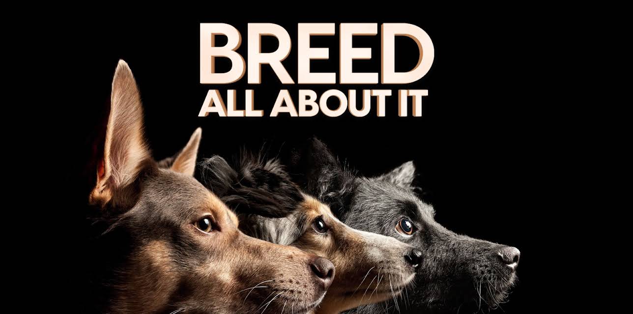 Breed All About It