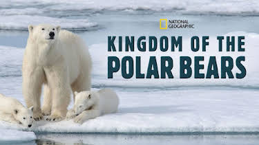 4:00 PM: Kingdom Of The Polar Bears | Nat Geo Wild | 12/30 2025