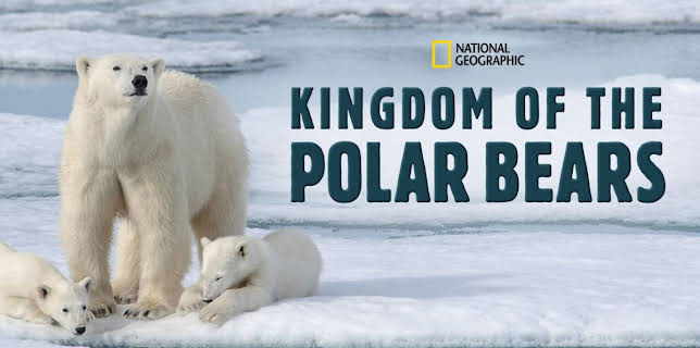 12:00 PM: Kingdom Of The Polar Bears | Nat Geo Wild | 10/26 2025