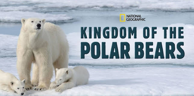 Kingdom Of The Polar Bears