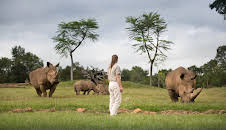 Crikey! It's the Irwins (S2 E12)