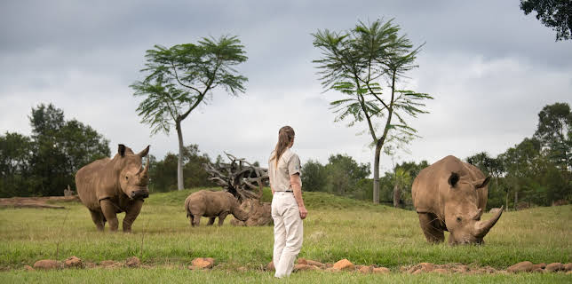 13:05: Crikey! It's the Irwins (S2 E12) (S2) | Animal Planet | 11/16 2025