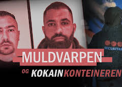 Muldvarpen og kokainkonteineren