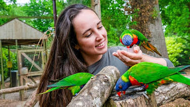 8:30 AM: Animal Park | BBC One Wales | 4/1 2026