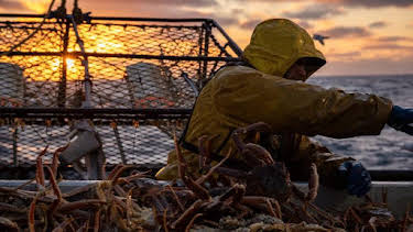 1:00 AM: Deadliest Catch (S20) | Discovery Channel | 10/8 2026