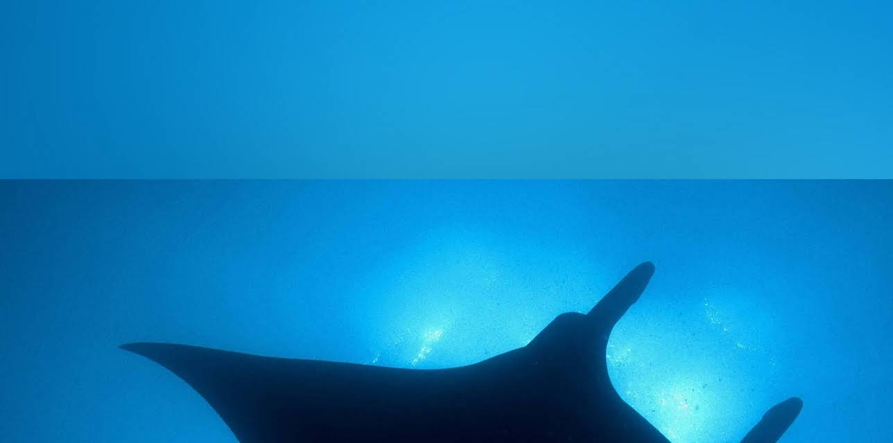 Blue Planet: Seas of Life