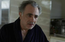 Den hederliga polisen: Avsnitt 13