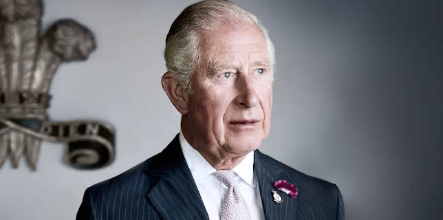 Charles, The Monarch and the Man (2024)