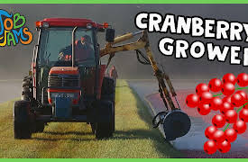 Job Jams: Cranberry Grower