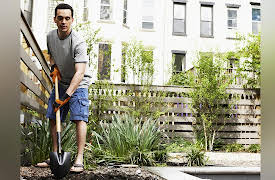 How to Grow Anything: Make Your Trees and Shrubs Thrive: Planting Your Trees and Shrubs