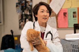 Strays S1: New Neighbors