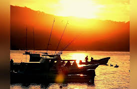 Chasing Monsters: Hand to Hand Combat