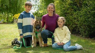 8:00 PM: New: The Dog House | Channel 4 | 3/31 2026