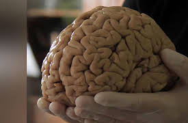 The Brain with David Eagleman: What Makes Me?