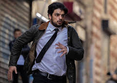 The Turkish Detective