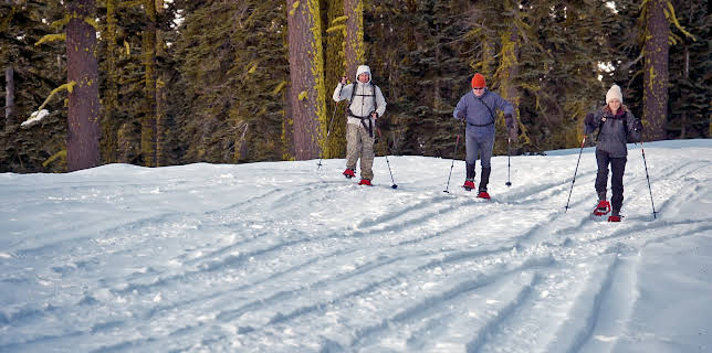 00:20: In Search Of Monsters (S1 E6) (S1) | Discovery Science | 11/2 2025