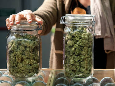 11:40: aktiv und gesund | SWR Fernsehen RP | 8/27 2026