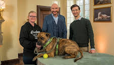 Haustierprofis (2/15)