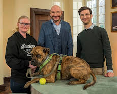 Haustierprofis (2/15)