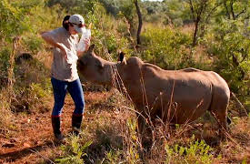 Work on the Wild Side, Season 1: Vets and Volunteers