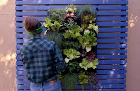 Tastemade's Reno Rundown: Outdoor Projects