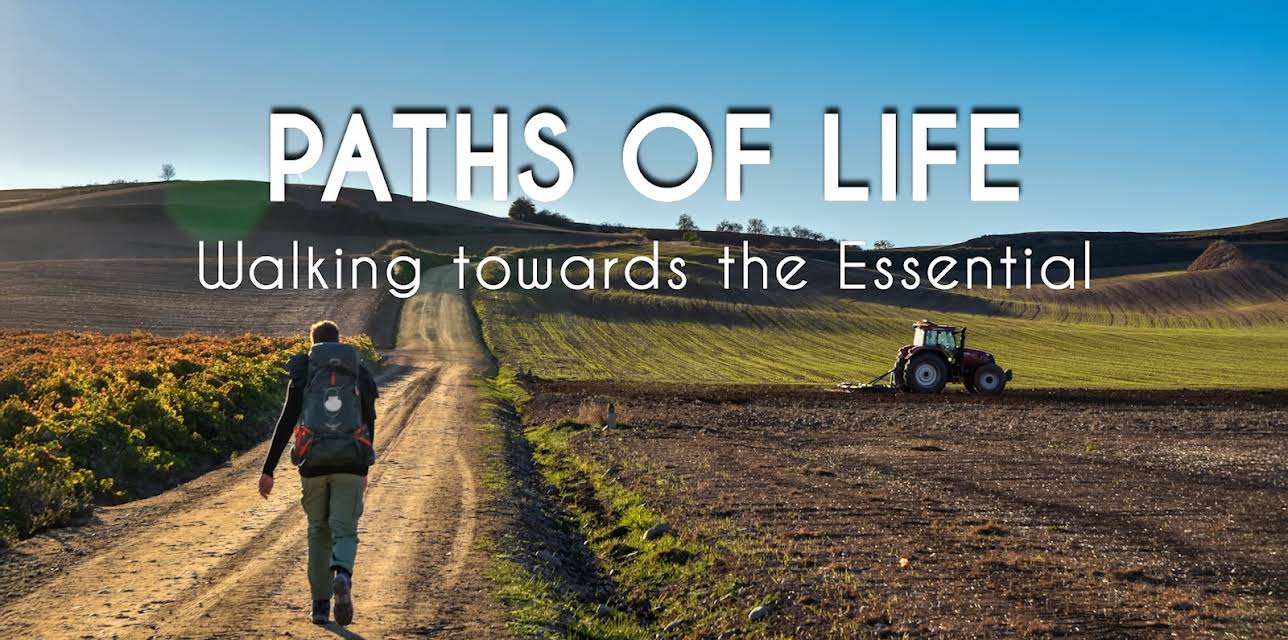 Paths of Life (2020)