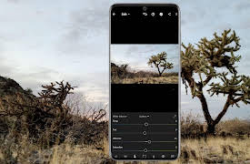 The Complete Guide to Smartphone Photography: Smartphone Editing: Lightroom and Android