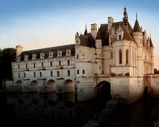 Expeditionen ins Tierreich