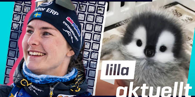 19:15: Lilla Aktuellt | Barnkanalen | 12/17 2025