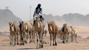 03:15: Köstliches Südtirol (4/4) | Arte | 4/18 2026
