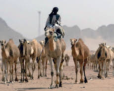 Stadt Land Kunst Spezial