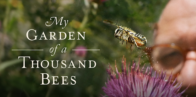My Garden of a Thousand Bees (1982)