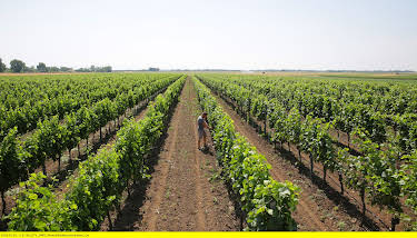 15:30: Faszination Österreich: Das Burgenland | 3SAT | 4/19 2026